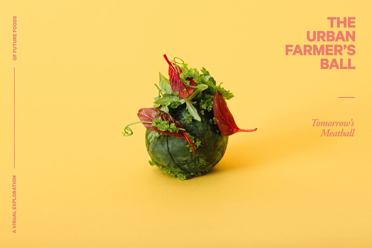 Smart food & Geek garden: Фрикадельки будущего – представление о еде завтрашнего дня - 4